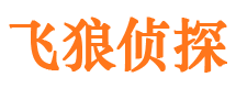 金山出轨调查